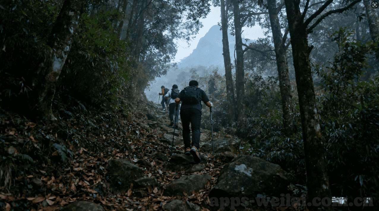 阿根廷和秘鲁世界杯-阿根廷与秘鲁，世界杯舞台上的南美双雄