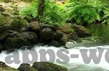 俄罗斯世界杯高温踢球-高温下的绿茵战场，俄罗斯世界杯的坚韧与激情